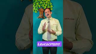 Leukocytosis  श्वेताणुवृद्धि  elevated white blood cell WBC ajaykaushik health sheetalchhaya [upl. by Madelene]