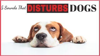 5 Sound That Disturbs Dogs amp Hate All Time [upl. by Ghiselin304]