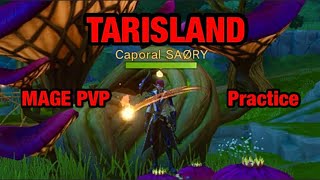 TARISLAND  Mage Fire PvP 3v3 Practice Serv EU2 [upl. by Attekal]