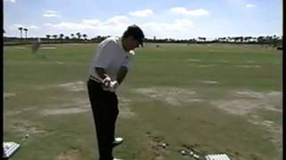 Bruce Lietzke Adams Golf Swing Analysis [upl. by Sane589]