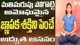 How to Increase Memory Power  Yoga Videos For Beginners In Telugu Yoga In Telugu Yoga Videos [upl. by Yvehc]