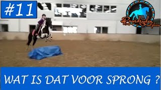 Paard springen met Mojito  Paardrijden met plezier [upl. by Lionello]