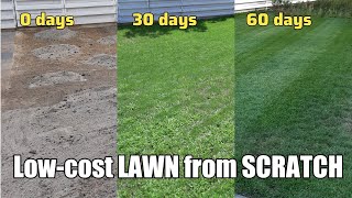 LowCost Lawn Seeding  1 2 and 3 month AFTER [upl. by Essilem26]