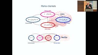 The Physics of Sentience  Professor Karl Friston UCL amp Verses AI [upl. by Arondel]