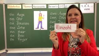 Deutschunterricht in der Grundschule Klasse 1 und 2 Substantive  Einzahl und Mehrzahlbildung [upl. by Hindu104]