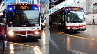 TTC Bus 133  TTC 1340 8102 8117 and 8129 New Livery [upl. by Karrah994]