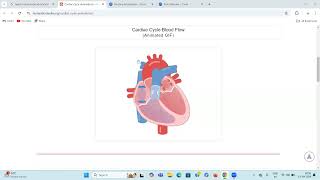 Heart  Blood circulation  Anatomy amp Physiology [upl. by Illyes]