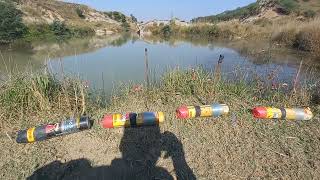 Fishing at Gujar khan Jabbar sareen carp flourbait livefishing [upl. by Fadas]