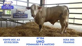 N°156 UNO  SCEA DES FRAINIAS  POMMARD P x MATCHO [upl. by Bowler]