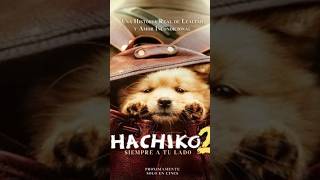 Hachiko 2 akitainu cine curiosidades estrenosdecine peliculas shortsfeed cinefilos [upl. by Tana]