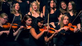 The cat empire  The wine song orchestral cover Marco de Jong ODM Utrecht [upl. by Eardnaed]