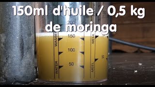 Presse à huile de moringa avec moteur électrique PITEBA [upl. by Nesto]