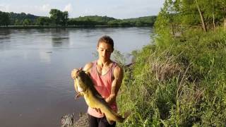 Flathead Catfishing with Cut Bluegill Bait  Missouri River Bank 10 lber [upl. by Eniak918]