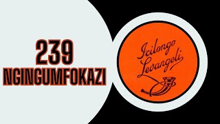 ICILONGO LEVANGELI 239 NGINGUMFOKAZI  SOUTH AFRICAN GOSPEL MUSIC [upl. by Tuhn]