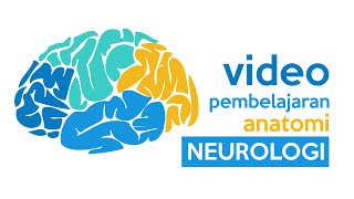 Video Pembelajaran Anatomi  NEUROLOGI [upl. by Fayre]