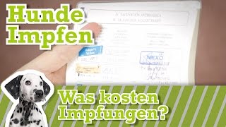 Hund impfen  Was kosten Impfungen  Welche Impfungen braucht mein Hund [upl. by Lauritz]