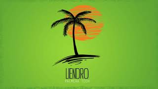 Techno Palmera  DJ LIENDRO  Bajada [upl. by Pritchard]