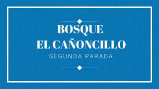 Conoce Pacasmayo  Bosque El Cañoncillo [upl. by Ahsac926]