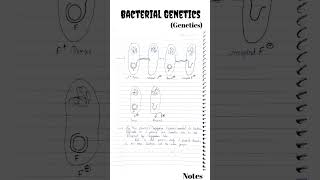 Bacterial Genetics  Bacterial Genetics CSIR NET  Conjugation Transduction csirnet genetics [upl. by Burgwell389]