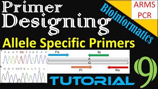 Primer Designing  Allele SNP Specific Primers Using BatchPrimer3  ARMS PCR  Tutorial 9 [upl. by Winny]