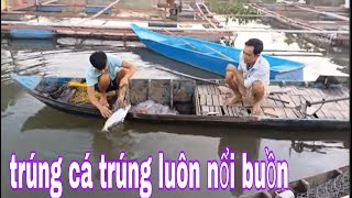 Cuốn Tay Lưới Mà Nước Mắt Tuôn Rơi Dùng Mỏ Rà Kéo Tay Lưới Lên Đầy Bất Ngờ  SĂN BẮT ĐỒNG THÁP [upl. by Araihc]