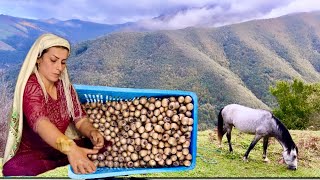 The Ancient Village Method of Making Medlar Paste [upl. by Carothers164]