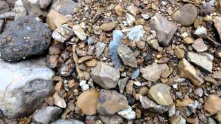 Arrowhead Hunting  Missouri Arrowheads  Field and Creek Hunting Early June 13 [upl. by Dhu]