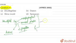 Ceratium is  11  PROSTISTA  BIOLOGY  ERRORLESS  Doubtnut [upl. by Ecnarret76]