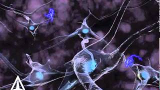 How Neurotransmission amp brain signals work  3D animation [upl. by Foskett477]