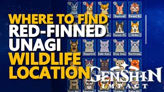 RedFinned Unagi Genshin Impact Locations [upl. by Zarah]