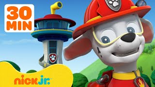 PAW Patrol Lookout Tower Adventures w Marshall Chase amp Skye  30 Minute Compilation  Nick Jr [upl. by Swithin667]