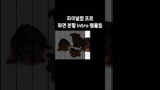 파이널컷 프로 51 화면 분할 intro 9종 템플릿 무료 공유 [upl. by Miharba]