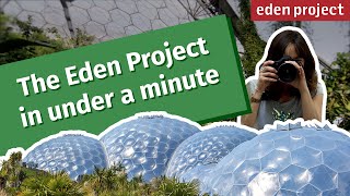 Exploring the Wonders of the Eden Project A Nature Lovers Guide to Cornwall [upl. by Ahsiken]