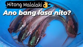 ANO BANG LASA NG HITO ANG LALAKI [upl. by Llednohs]