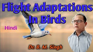 Flight Adaptation in Birds Hindi [upl. by Joceline]