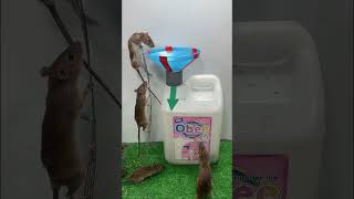 Top 1 best mouse trap  Homemade mousetrap from old perfume box [upl. by Barbur761]