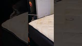 Mattress cleaning jetstreamclean jetstreamclean jetstreamclean [upl. by Akinahc]