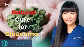 Marijuana  Natural Cure for Glaucoma  Real or Not  Eye Surgeon Explains draudreytai [upl. by Rossner]