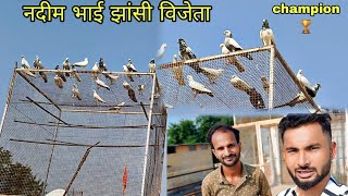 नदीम भाई झांसी विजेता champion 🏆 tunament pigeon jhansi  youtube video trending [upl. by Amme546]