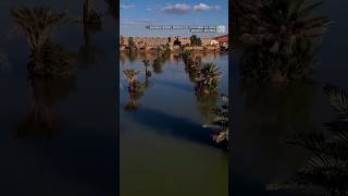 Sahara is hit by flash floods submerging dunes and palm trees [upl. by Anayi]