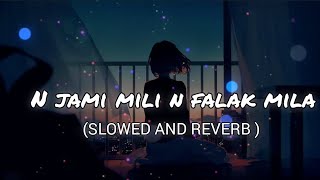 Na jami mili n falak mila lofi  slow and reverb  pagal parindey lofi song  The Kerala story [upl. by Maison]