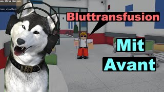 Notarzt mit 2 Account HILFE Notruf Hamburg  Roblox [upl. by Zillah]