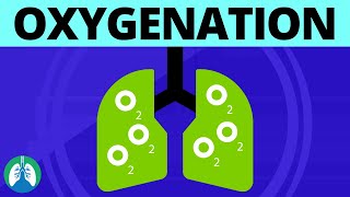 What is Oxygenation Medical Definition [upl. by Phipps609]