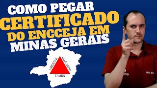 COMO PEGAR O CERTIFICADO DO ENCCEJA EM MINAS GERAIS [upl. by Aletha]