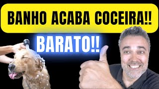 Banho que ACABA COM COCEIRA em cachorro 👉BARATO E FÁCIL [upl. by Ahsiei]