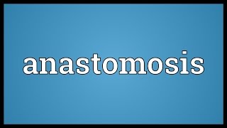 Anastomosis Meaning [upl. by Diella]