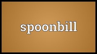 Spoonbill Meaning [upl. by Eelydnarb]