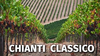 Great Italian Wines CHIANTI CLASSICO [upl. by Struve]