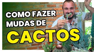 Como propagar e fazer muda de CACTOS [upl. by Sorensen]