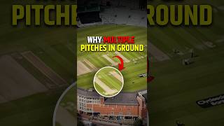 Why CRICKET Grounds Have Multiple Pitches shorts pitch cricket cricketfacts ytshorts [upl. by Pliske]